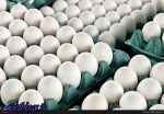 قیمت هر شانه تخم مرغ به 24 هزار تومان رسید ، سیر صعودی تخم مرغ در بازار